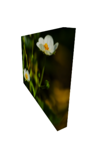 Canvas Print: Spring's Whisper - White Flowers