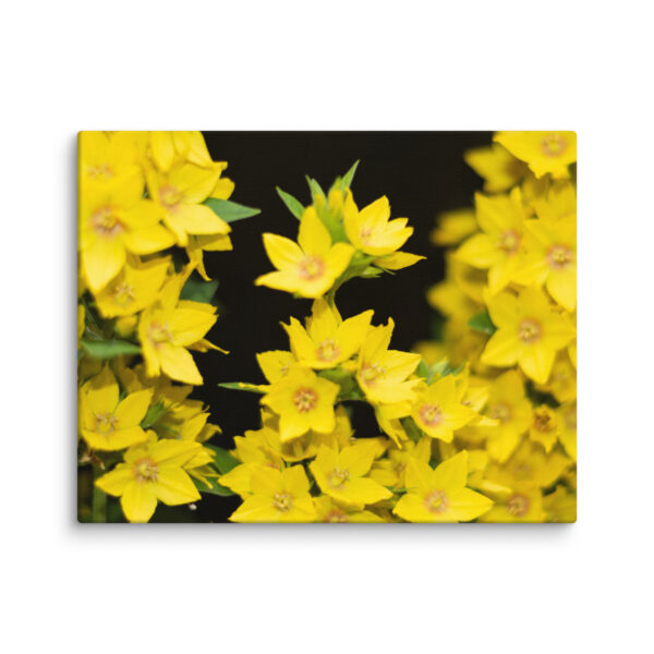 Yellow Floral Splendor - Canvas Print - Image 2