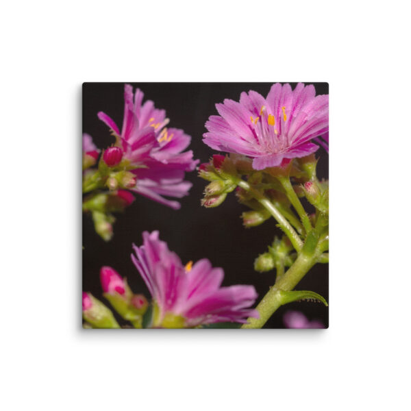 Pink Floral Delight - Canvas Print - Image 5