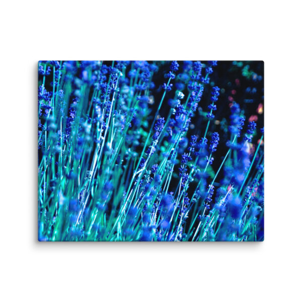 Lavender at Night - A Limited Edition by Hari Maslic - Image 14