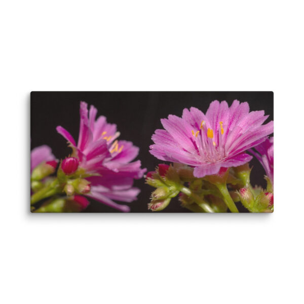 Pink Floral Delight - Canvas Print - Image 7