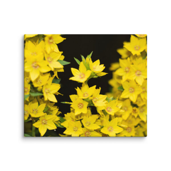 Yellow Floral Splendor - Canvas Print - Image 6