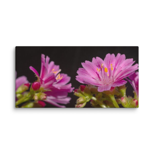 Pink Floral Delight - Canvas Print