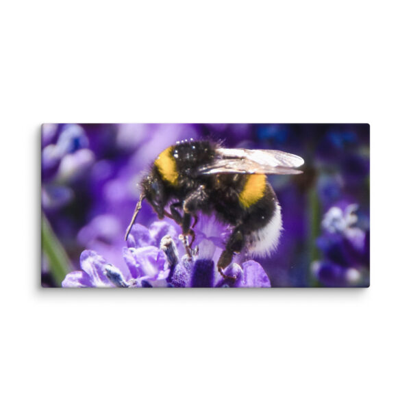 Bee and Lavender Serenity - Canvas Print - Image 14