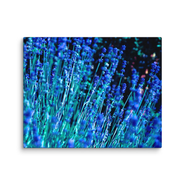 Lavender at Night - A Limited Edition by Hari Maslic - Image 8