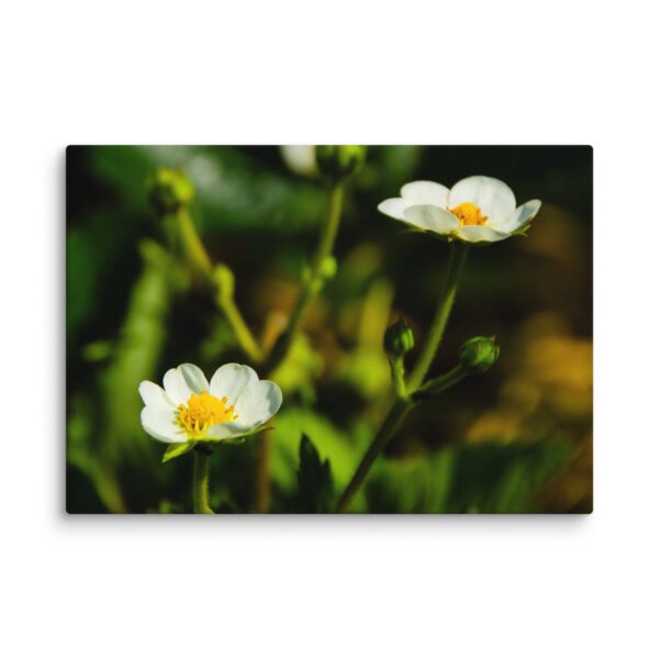 Canvas Print: Spring's Whisper - White Flowers - Image 12