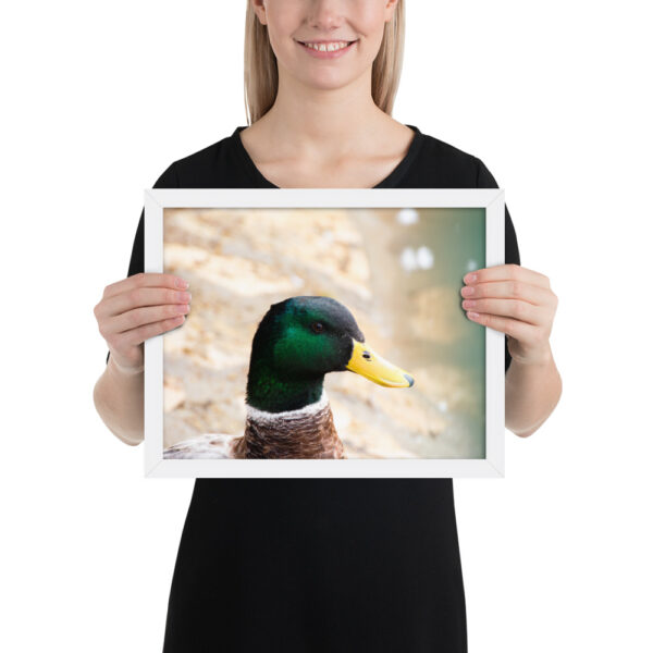 Nature's Magic: Duck Framed poster for Your Home - Image 9