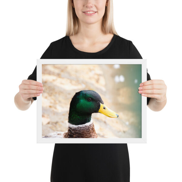 Nature's Magic: Duck Framed poster for Your Home - Image 10