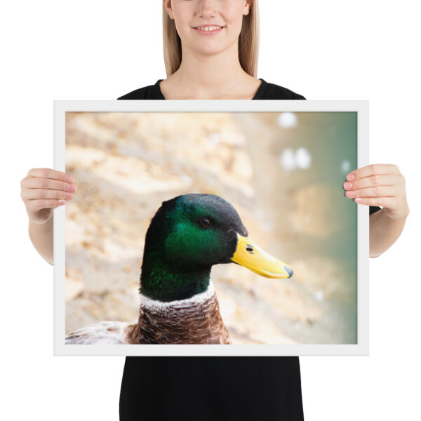 Nature's Magic: Duck Framed poster for Your Home - Image 11