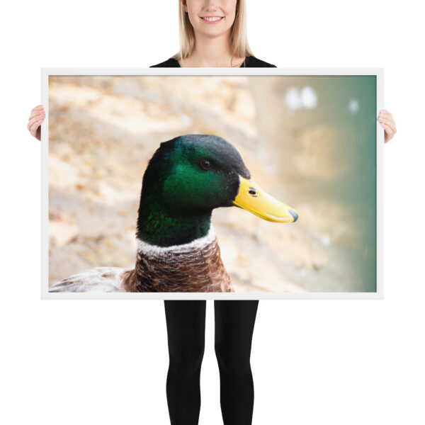 Nature's Magic: Duck Framed poster for Your Home - Image 12