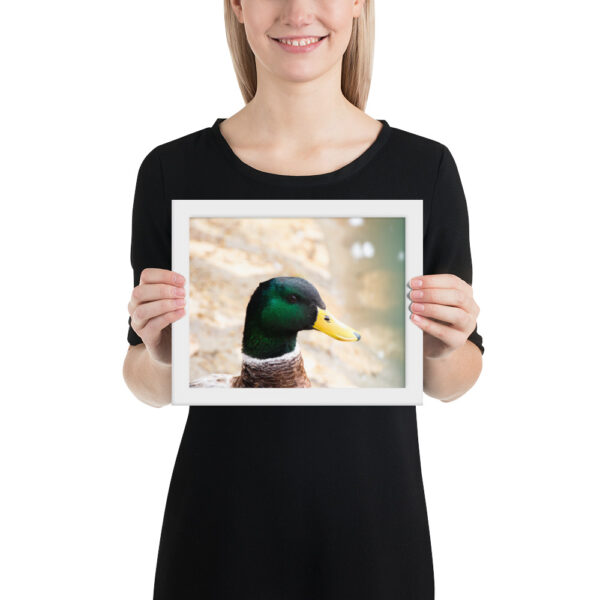 Nature's Magic: Duck Framed poster for Your Home - Image 7