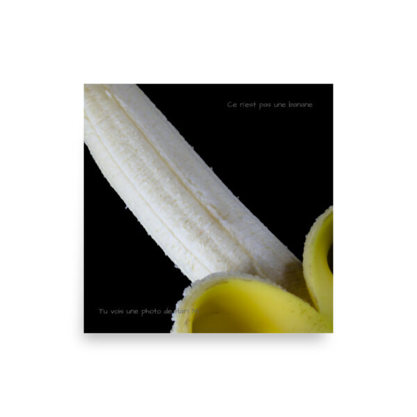 Limited edition by Hari M. –  The banana paradox - Image 3