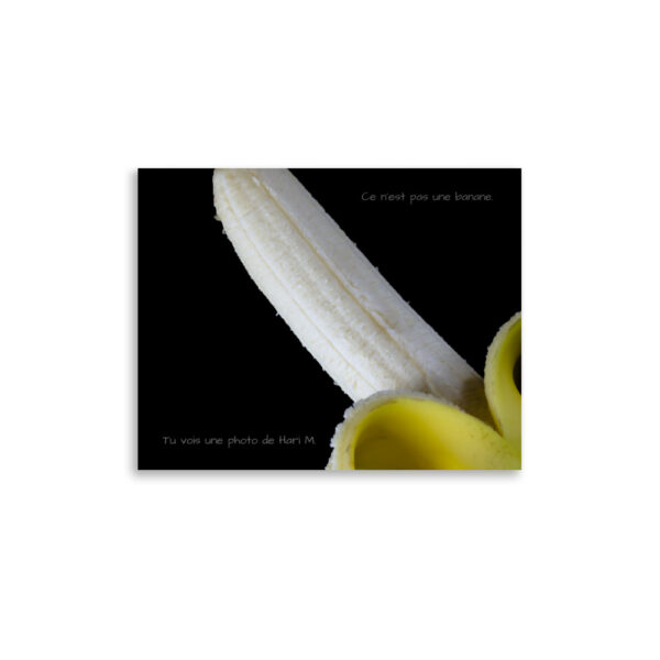 Limited edition by Hari M. –  The banana paradox - Image 4