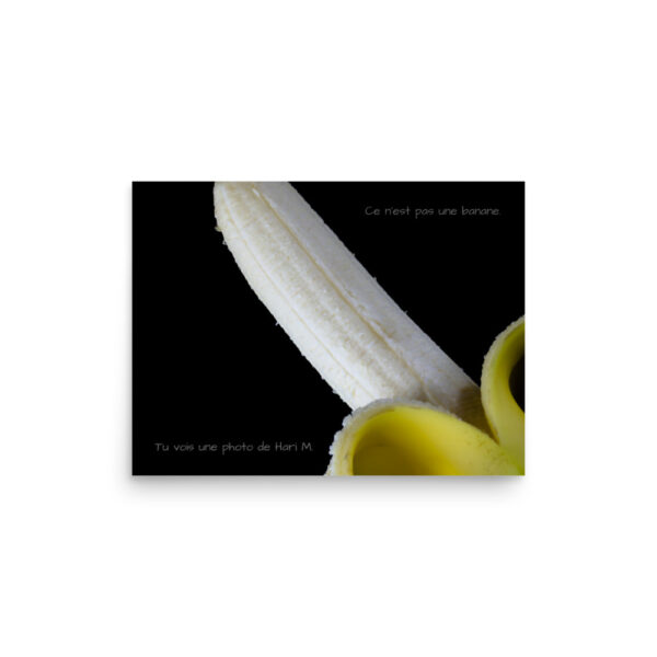 Limited edition by Hari M. –  The banana paradox - Image 6