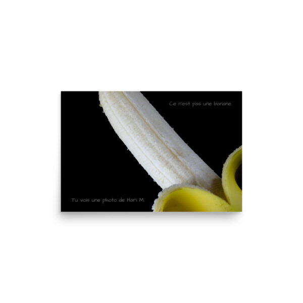 Limited edition by Hari M. –  The banana paradox - Image 7