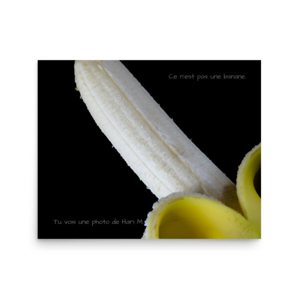 Limited edition by Hari M. –  The banana paradox - Image 10