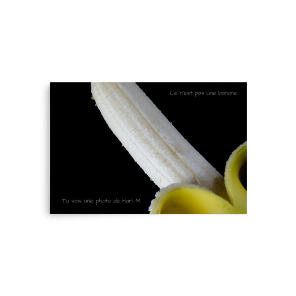 Limited edition by Hari M. –  The banana paradox - Image 13