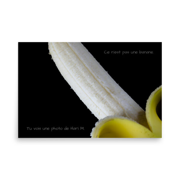 Limited edition by Hari M. –  The banana paradox - Image 14