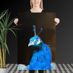 Peacock Poster for Your Home