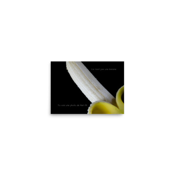 Limited edition by Hari M. –  The banana paradox - Image 15