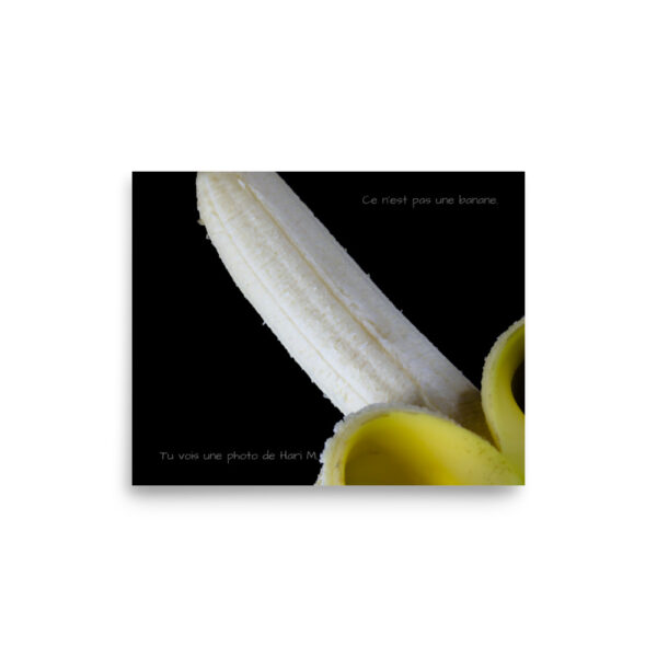 Limited edition by Hari M. –  The banana paradox - Image 16