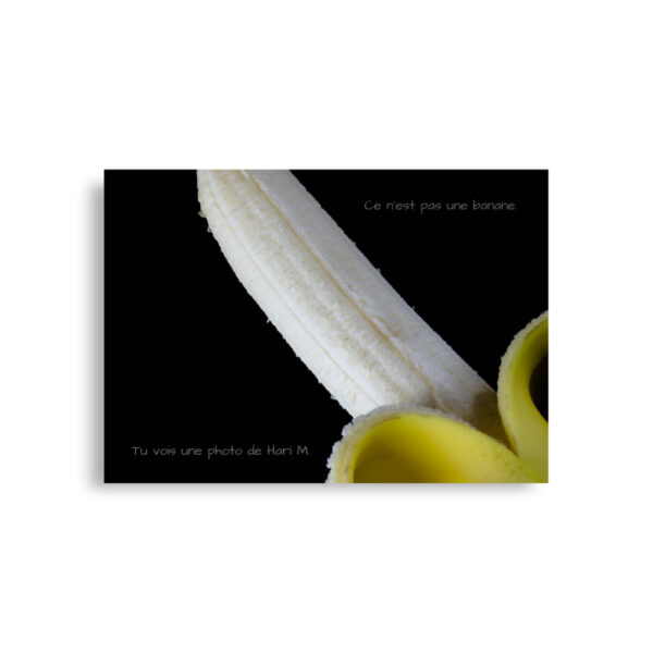 Limited edition by Hari M. –  The banana paradox - Image 2